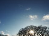 24th January 2025 <br> storm in a teacup