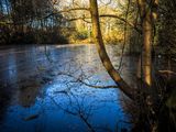 25th January 2025 <br> icy