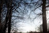 DSC_2638-001.jpg