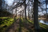 DSC_2964-001.jpg