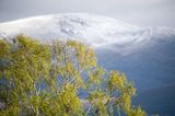 4th May 2025 <br> Cairngorm