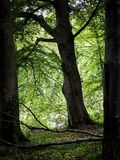 P6050111-2-001.jpg