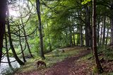 DSC_5192-001.jpg