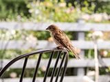 30th June 2025 <br> looking for crumbs