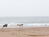 P7190069-2-001.jpg