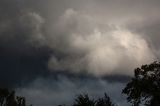 DSC_7674-001.jpg