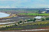 Achladeri forest looking to main road Kalloni