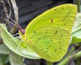 IMG_2598.JPEG