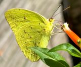IMG_2557.JPEG