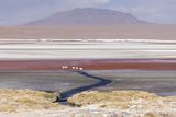 Bolivian Altiplano