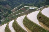 LongSheng Rice Terraces