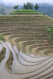 LongSheng Rice Terraces