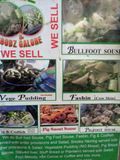 051 All the Flavors of Souse You Could Want.jpg