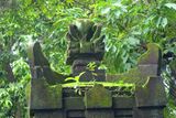 032 Lichens and plants from every orifice.jpg