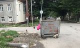 086 Whereas Baku was Oriented to Cats-Quba loved its street dogs.jpg