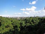028 Green Spaces with Downtown Skyline.jpg