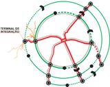 067 Radial-and-circular-bus-routes-in-Curitiba.jpg