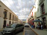 010 All of the Streets Lined with Marigolds.jpg