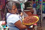 092 A Big Pot of Grasshoppers.jpg