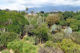 150 View of the Botanical Garden from the Culture Museo.jpg