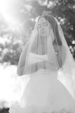 Cincinnati Wedding Photographer