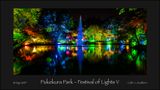 Pukekura Park - Festival of Lights V