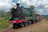 Steamfest 2025