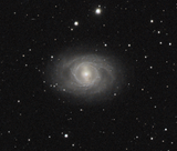 NGC_3351_M95