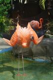 Flamingo 1.jpeg