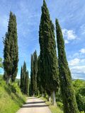 IMG_3992.jpeg