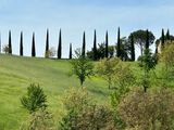 IMG_3985.jpeg