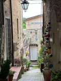 IMG_3960.jpeg