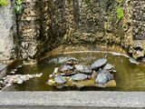 IMG_3706.jpeg