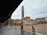 IMG_3781.jpeg