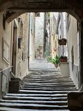 IMG_3923.jpeg