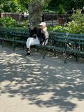 IMG_4062.jpeg