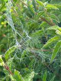 IMG_4237.jpeg