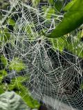 IMG_4228.jpeg