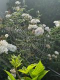 IMG_4218.jpeg