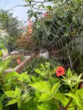 IMG_4217.jpeg