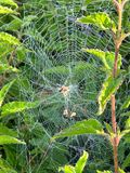 IMG_4193.jpeg