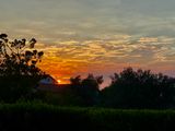 IMG_4974.jpeg
