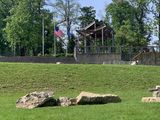 IMG_2641.jpeg