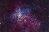 The Tarantula nebula