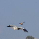 2DB3CEA6-B016-4E99-9046-C40953284D18.JPG