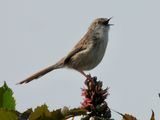 dscn1091.jpg