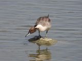 dscn2159.jpg