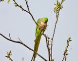 dscn3121.jpg