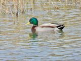 dscn3526.jpg