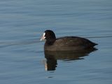 dscn3944.JPG